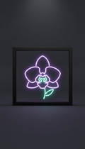 Dark Purple LED Frame